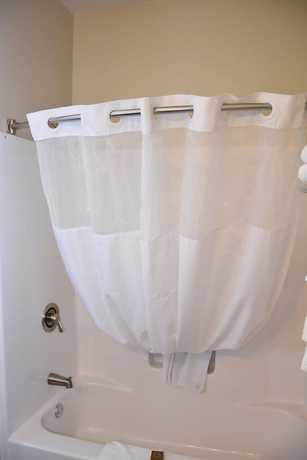 Imagen de la habitación del Hotel Roosevelt Inn And Suites. Foto 5