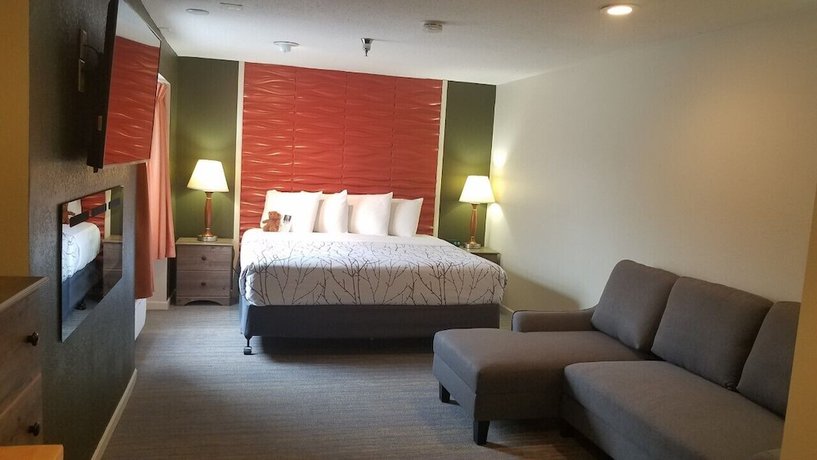 Imagen de la habitación del Hotel Roosevelt Inn Mount Rushmore. Foto 3