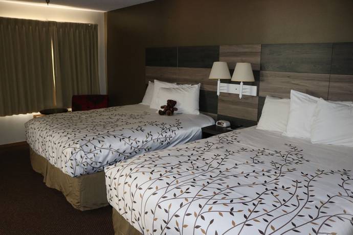 Imagen de la habitación del Hotel Roosevelt Inn Mount Rushmore. Foto 4