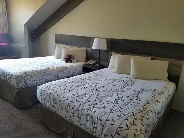 Imagen de la habitación del Hotel Roosevelt Inn Mount Rushmore. Foto 11