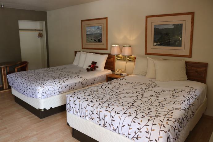 Imagen de la habitación del Hotel Roosevelt Inn Mount Rushmore. Foto 14