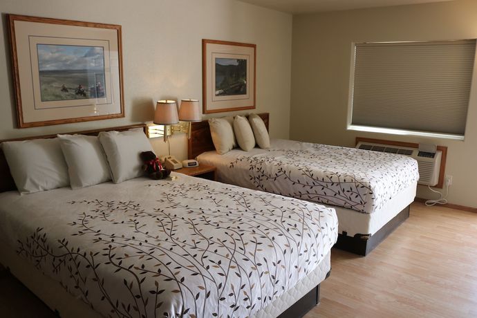 Imagen de la habitación del Hotel Roosevelt Inn Mount Rushmore. Foto 15