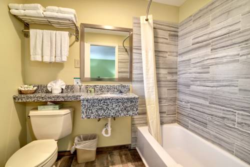 Imagen de la habitación del Hotel Roosevelt Inn & Suites Saratoga Springs. Foto 4