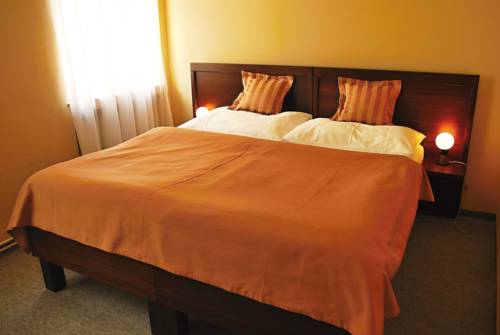 Imagen de la habitación del Hotel Roosevelt, Litoměřice . Foto 16