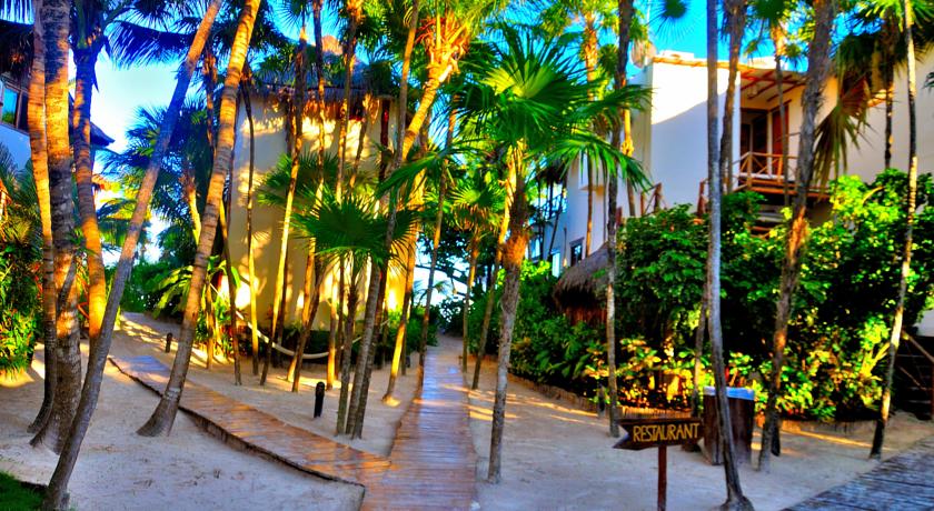 Imagen de los interiores del Hotel Rosa Del Viento. Foto 12