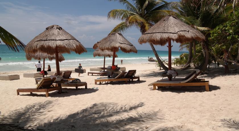 Imagen de los exteriores del Hotel Rosa Del Viento. Foto 8