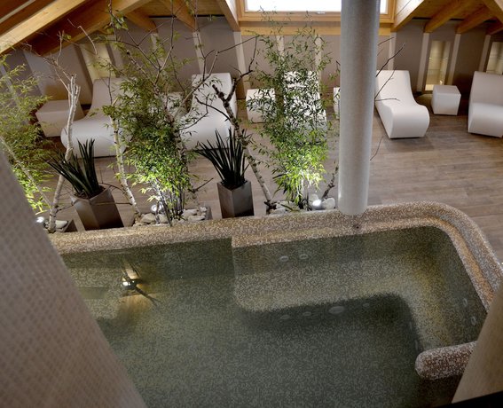 Imagen de la piscina del Hotel Rosa Purpurea. Foto 17