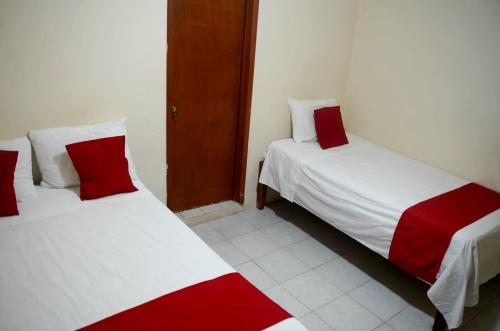 Imagen general del Hotel Rosa del Alba. Foto 12