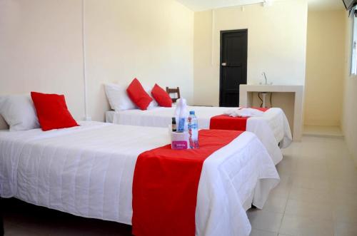 Imagen general del Hotel Rosa del Alba. Foto 14