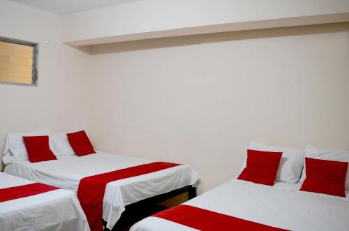 Imagen general del Hotel Rosa del Alba. Foto 15