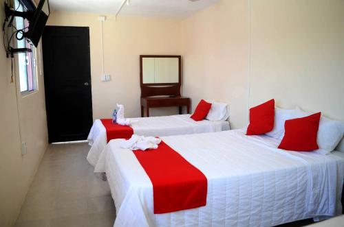 Imagen de la habitación del Hotel Rosa del Alba. Foto 20