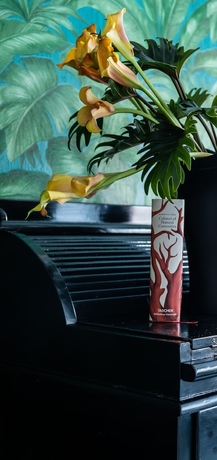 Imagen de la habitación del Hotel Rosalia's Menagerie Innupstairs. Foto 6