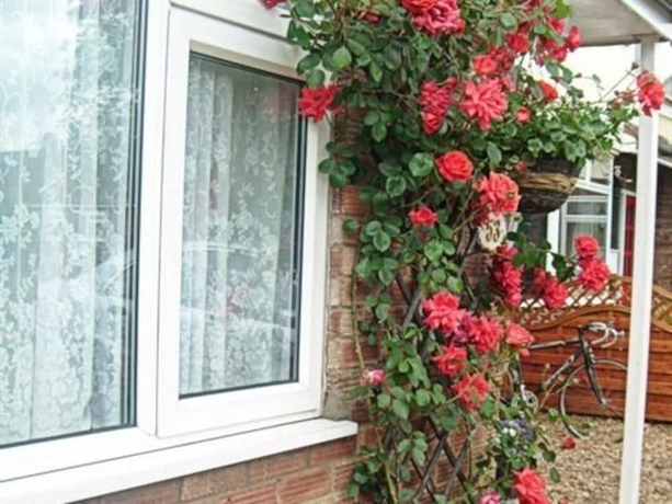 Imagen general del Hotel Rosa's Bb. Foto 3