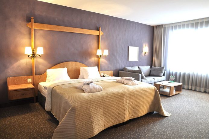 Imagen de la habitación del Hotel Rosatsch. Foto 15