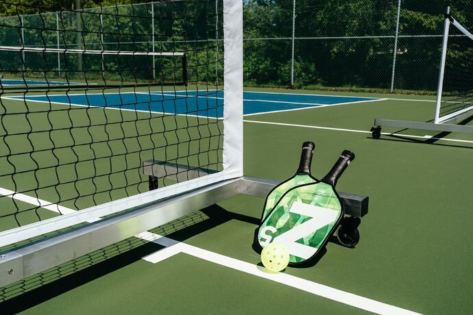 Imagen general del Hotel Roscoe Mountain Club. Foto 11