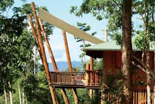 Imagen general del Hotel Rose Gums Wilderness Retreat. Foto 5