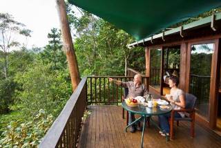 Imagen general del Hotel Rose Gums Wilderness Retreat. Foto 8