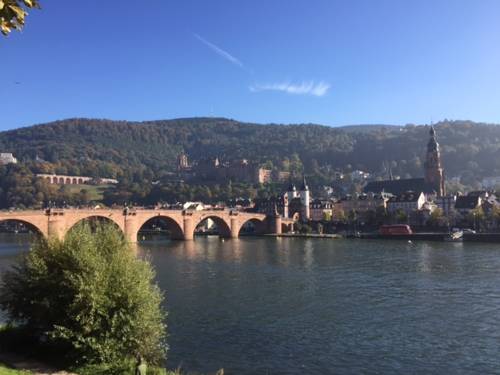 Imagen general del Hotel Rose, Heidelberg. Foto 1