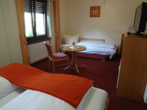 Imagen de la habitación del Hotel Rose, Heidelberg. Foto 14