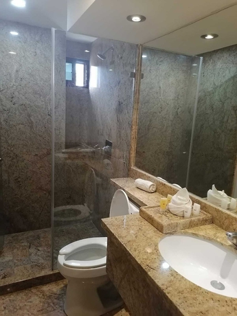 Imagen de la habitación del Hotel Rose, Monterrey. Foto 15