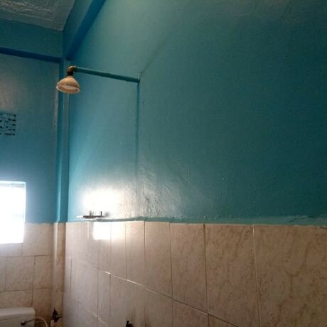 Imagen general del Hotel Rose Wood Lodge. Foto 7