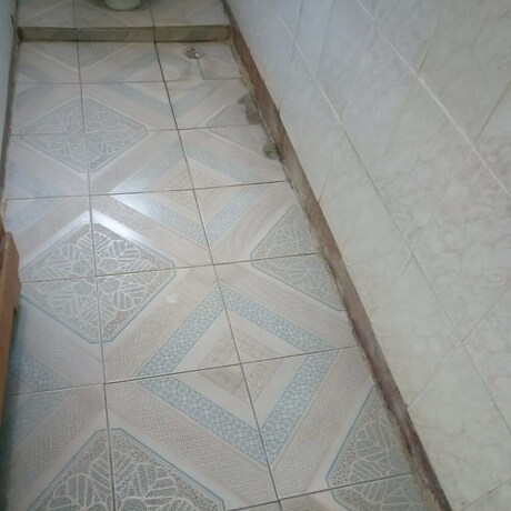 Imagen general del Hotel Rose Wood Lodge. Foto 10