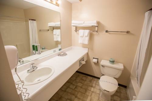 Imagen de la habitación del Hotel Rosebud Inn. Foto 7