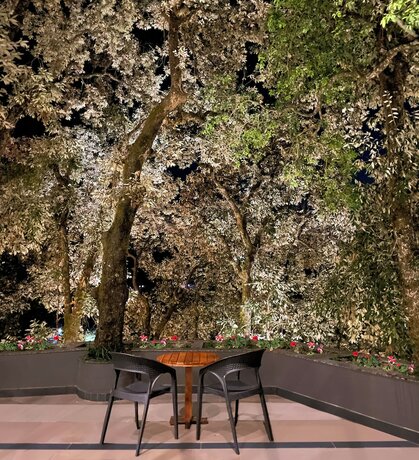 Imagen general del Hotel Rosefinch Sarovar Portico Bhimtal. Foto 12