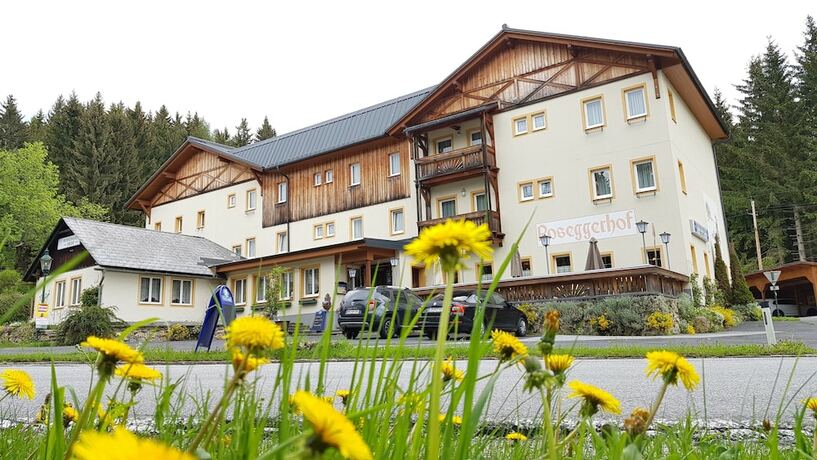 Imagen general del Hotel Roseggerhof. Foto 8