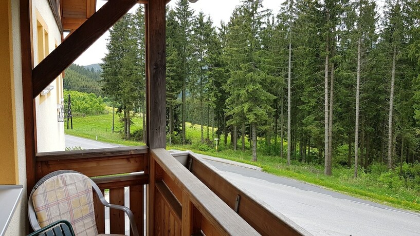Imagen general del Hotel Roseggerhof. Foto 12