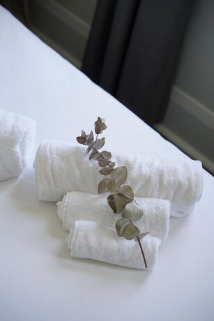 Imagen general del Hotel Rosehill. Foto 8