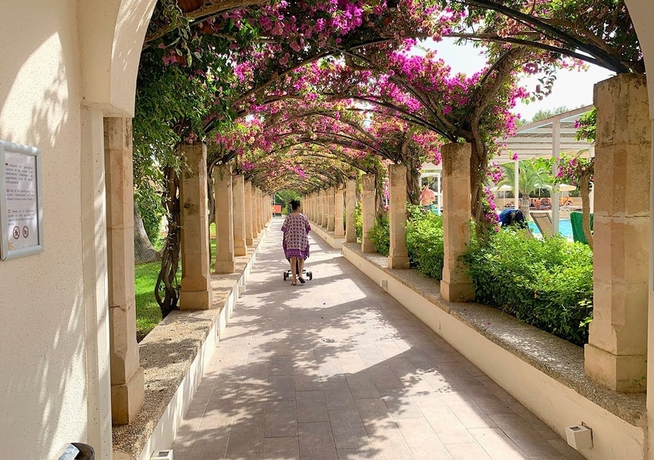 Imagen de los exteriores del Hotel Rosella affiliated by Intelier. Foto 13