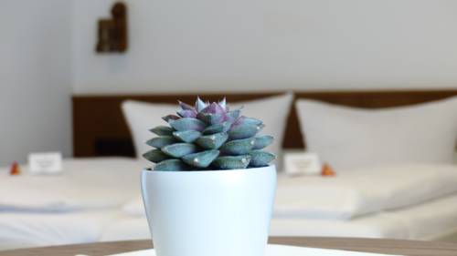 Imagen de la habitación del Hotel Rosenbusch. Foto 6