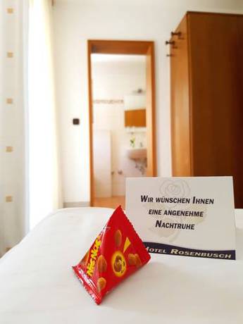 Imagen de la habitación del Hotel Rosenbusch. Foto 10