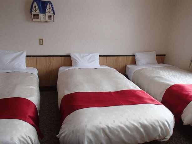 Imagen de la habitación del Hotel Rosenheim Hakuba. Foto 23