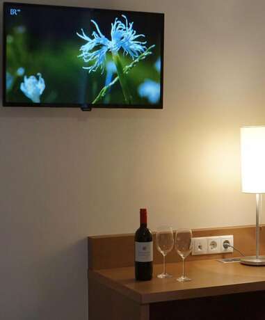 Imagen de la habitación del Hotel Rosenhof, Illmitz. Foto 15