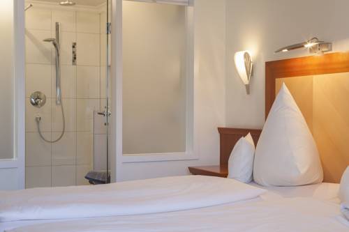 Imagen de la habitación del Hotel Rosenstock. Foto 5