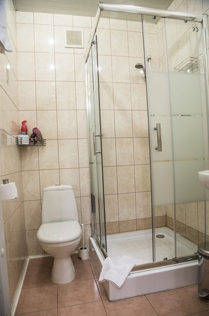 Imagen de la habitación del Hotel Roses, San Petersburgo. Foto 11