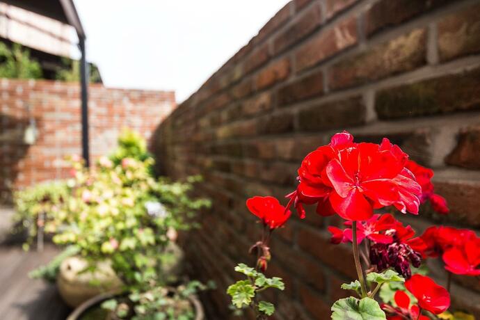 Imagen general del Hotel Roseto. Foto 11