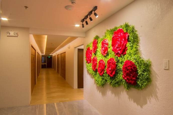 Imagen de los interiores del Hotel Rosita, Lucena. Foto 15