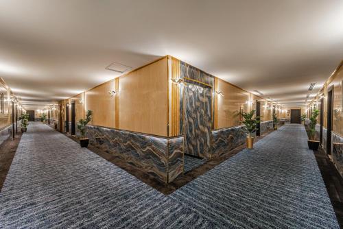 Imagen general del Hotel Ross. Foto 9