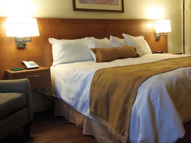 Imagen de la habitación del Hotel Rosslyn Inn And Suites. Foto 5