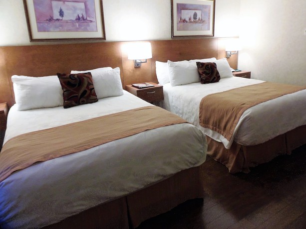 Imagen de la habitación del Hotel Rosslyn Inn And Suites. Foto 8