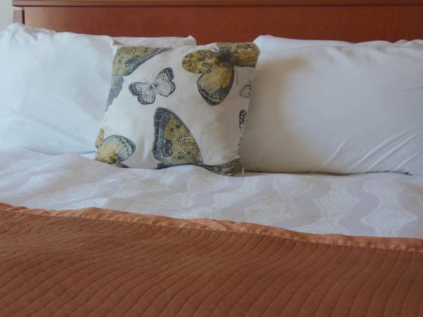 Imagen de la habitación del Hotel Rosslyn Inn And Suites. Foto 9