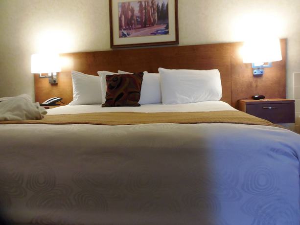 Imagen de la habitación del Hotel Rosslyn Inn And Suites. Foto 13