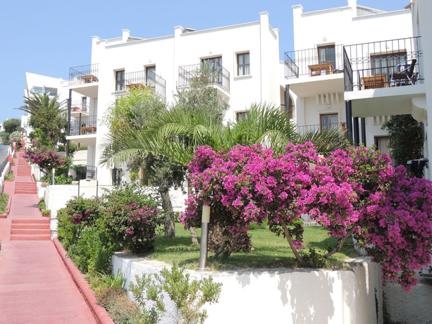 Imagen de los exteriores del Hotel Rosso Verde Hotel. Foto 12