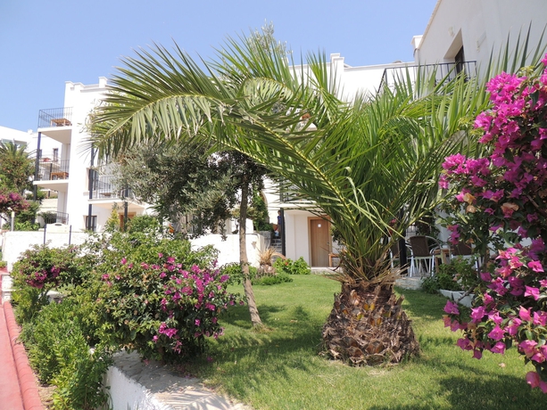Imagen de los exteriores del Hotel Rosso Verde Hotel. Foto 13