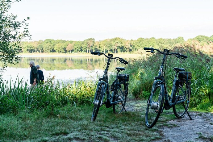 Imagen general del Hotel Rosveld. Foto 14