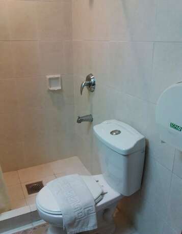 Imagen de la habitación del Hotel Rosvenil. Foto 13
