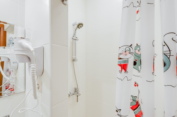 Imagen de la habitación del Hotel Rotas On Krasnoarmeyskaya. Foto 18